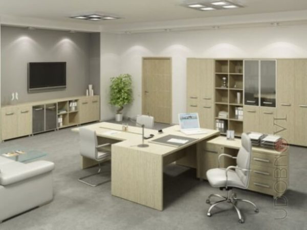 Кабинет руководителя IM 01